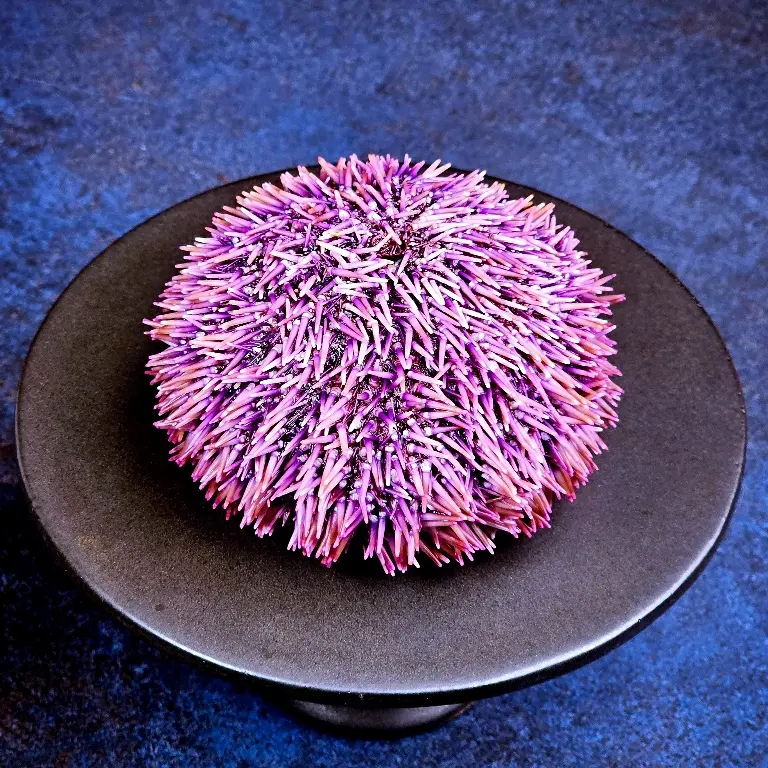 creation thumb for Mayonnaise d'Oursin et de Noisette