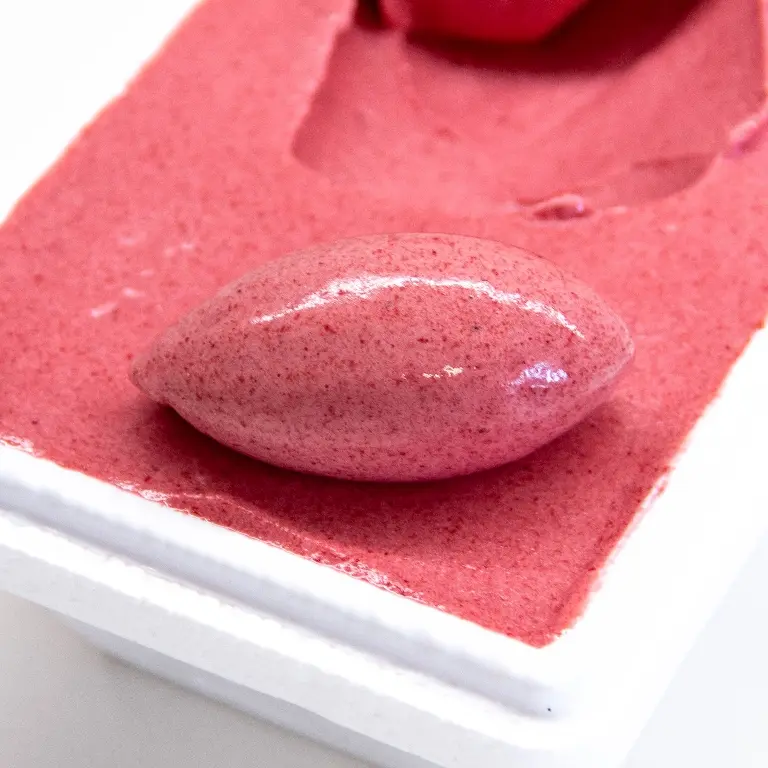 creation thumb for Ice Cream & Sorbet