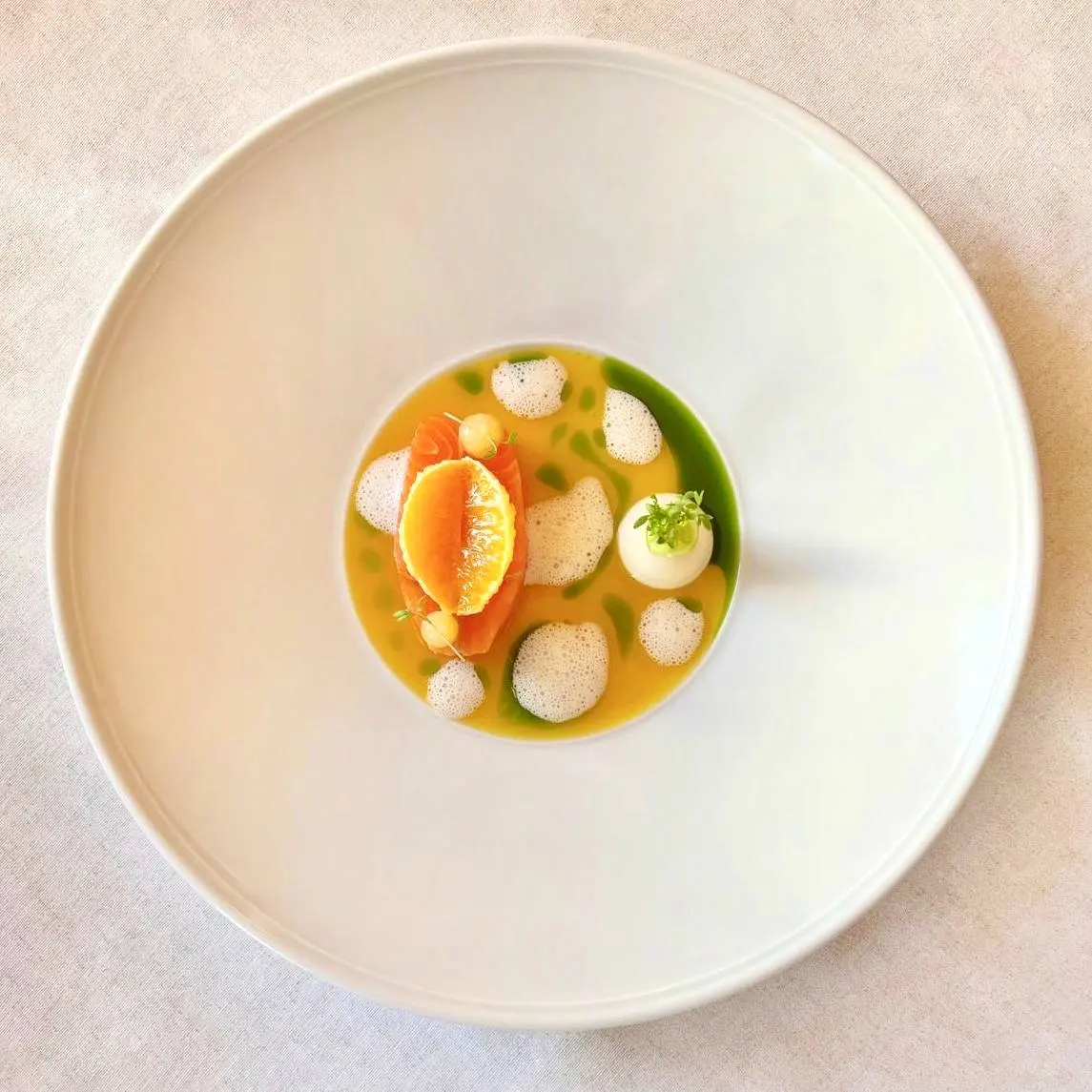 creation thumb for Salmon trout Mandarin parsnip Wasabi