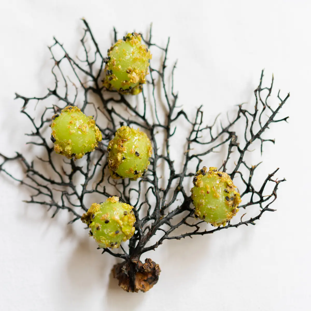 creation thumb for Crunchy Grapes