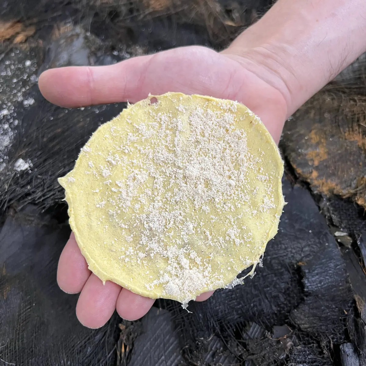 creation thumb for Corn Meringue