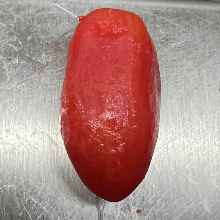 creation thumb for Fast Tomato-Peeling Technique 🍅