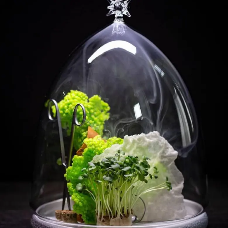 creation thumb for Daikon cress/smoked chicken  chips ,tapioka daikon chips,
