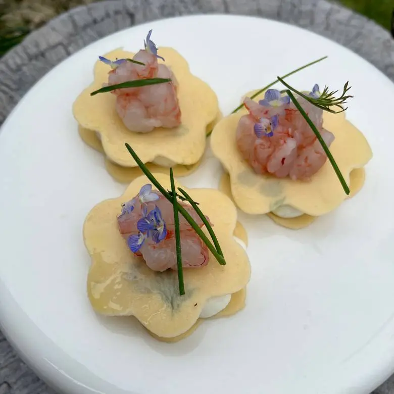 creation thumb for Kräuterpasta mit Ricotta und Garnelentatar