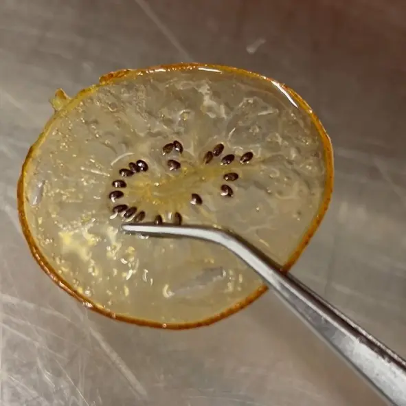 creation thumb for Chips di Kiwi Caramellati