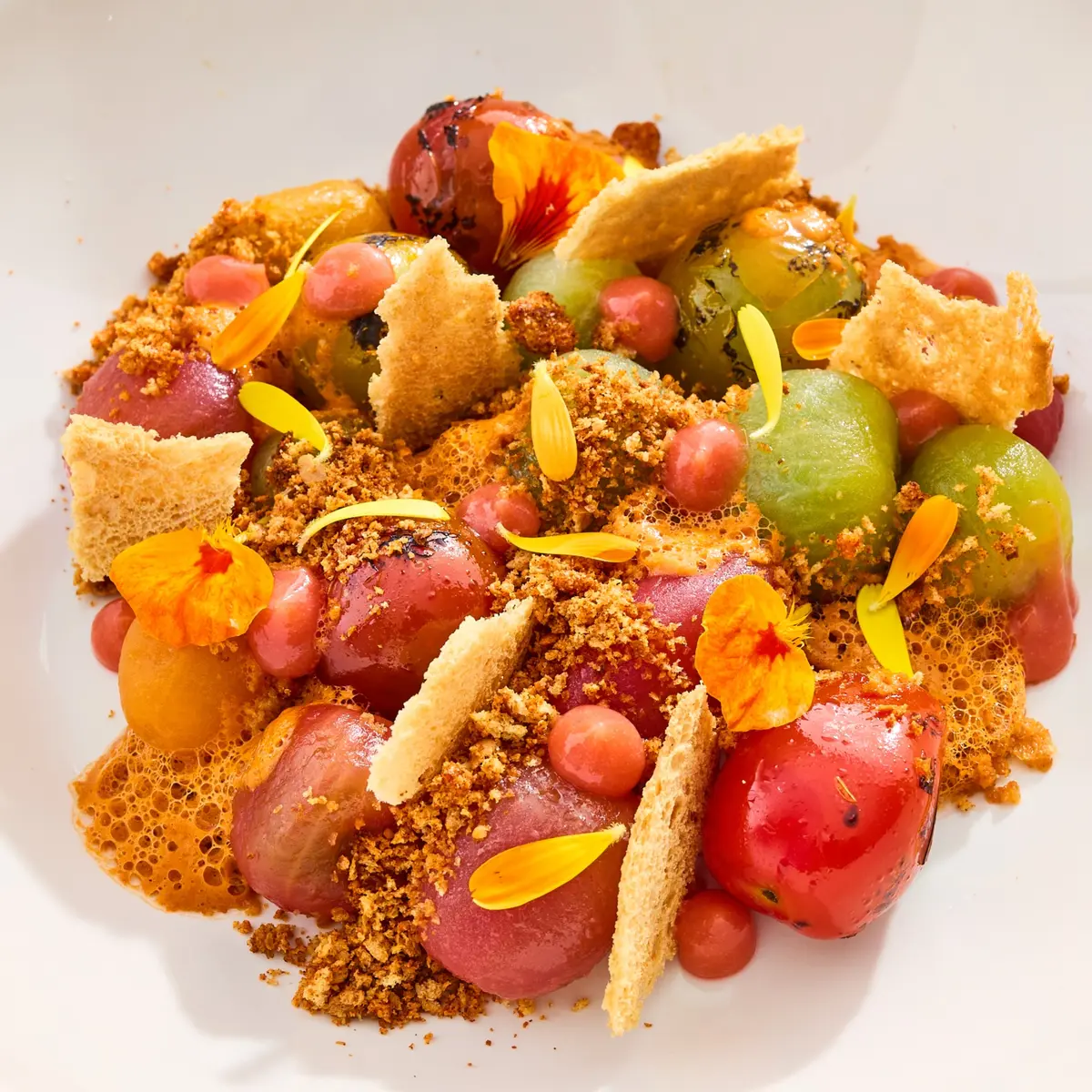 creation thumb for Tomato Textures with Brioche Crumb and Sour Cherry