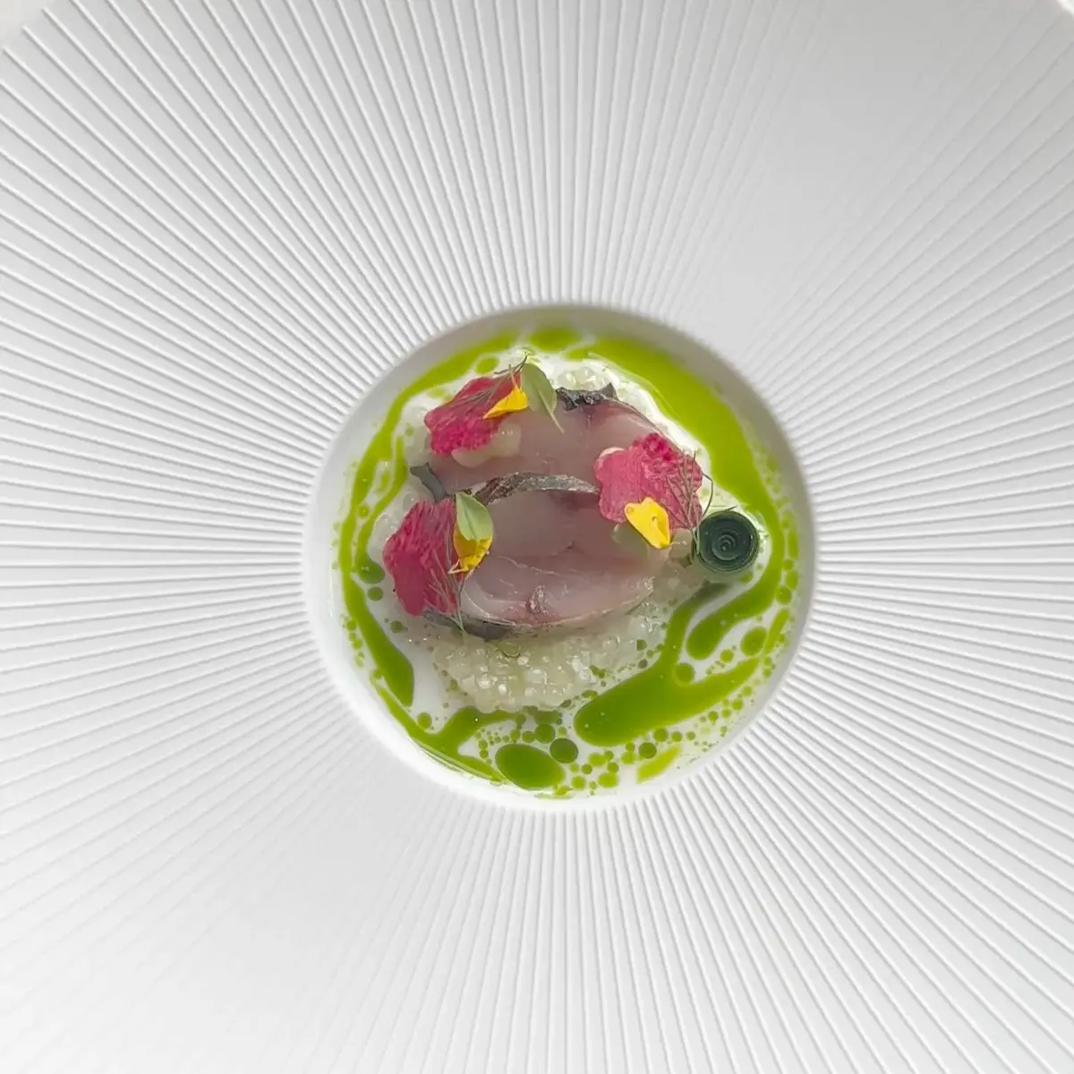 creation thumb for Cured Scottish Mackerel with Cucumber Tapioca & Buttermilk