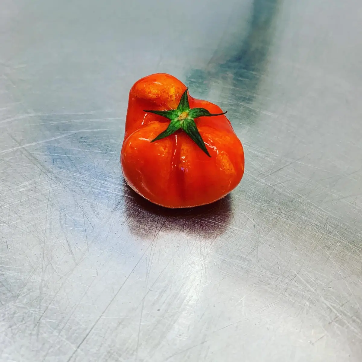 creation thumb for Tomato butter 🍅🧈
