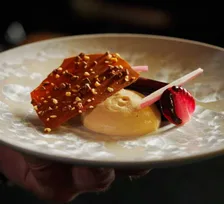 A plated chocolate cream dessert