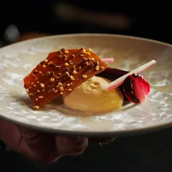 A plated chocolate cream dessert