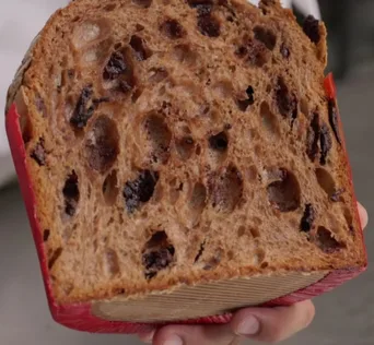 A slice of chocolate panettone